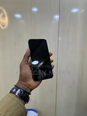Apple iPhone 12 Pro Max 128 GB Gray