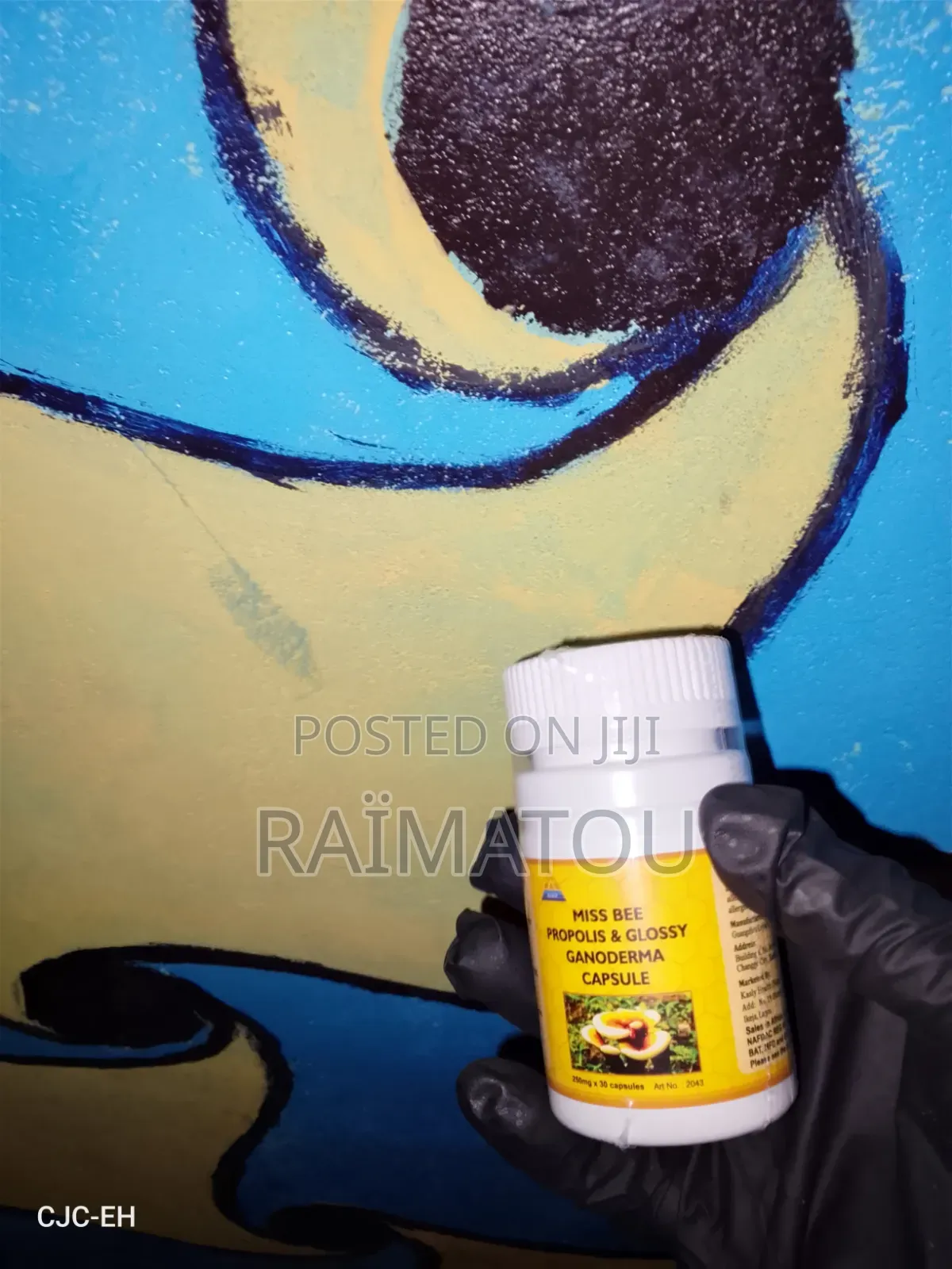 Glossy Garnodema Capsule