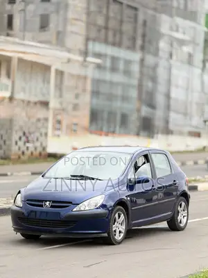 Peugeot 307 2005 Blue