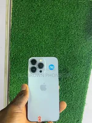 Apple iPhone 13 Pro 256 GB