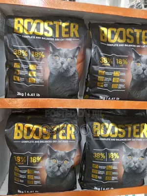 Cat Food and Accessories