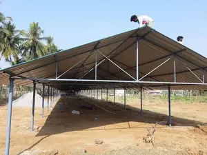 Poultry Construction/ Multipurpose Farm Construction