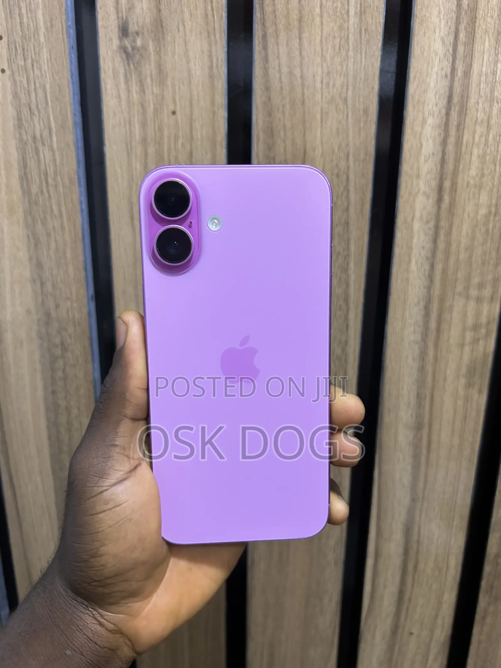 Apple iPhone 16 Plus 256 GB Pink