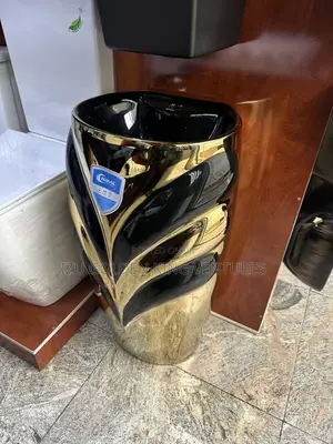 Black and Gold Standing Wash Hand Basin