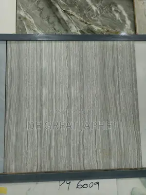 60*60 Floor Tiles SUPER MATTE