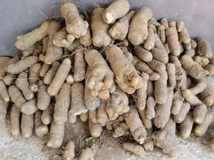 Yam Tubers