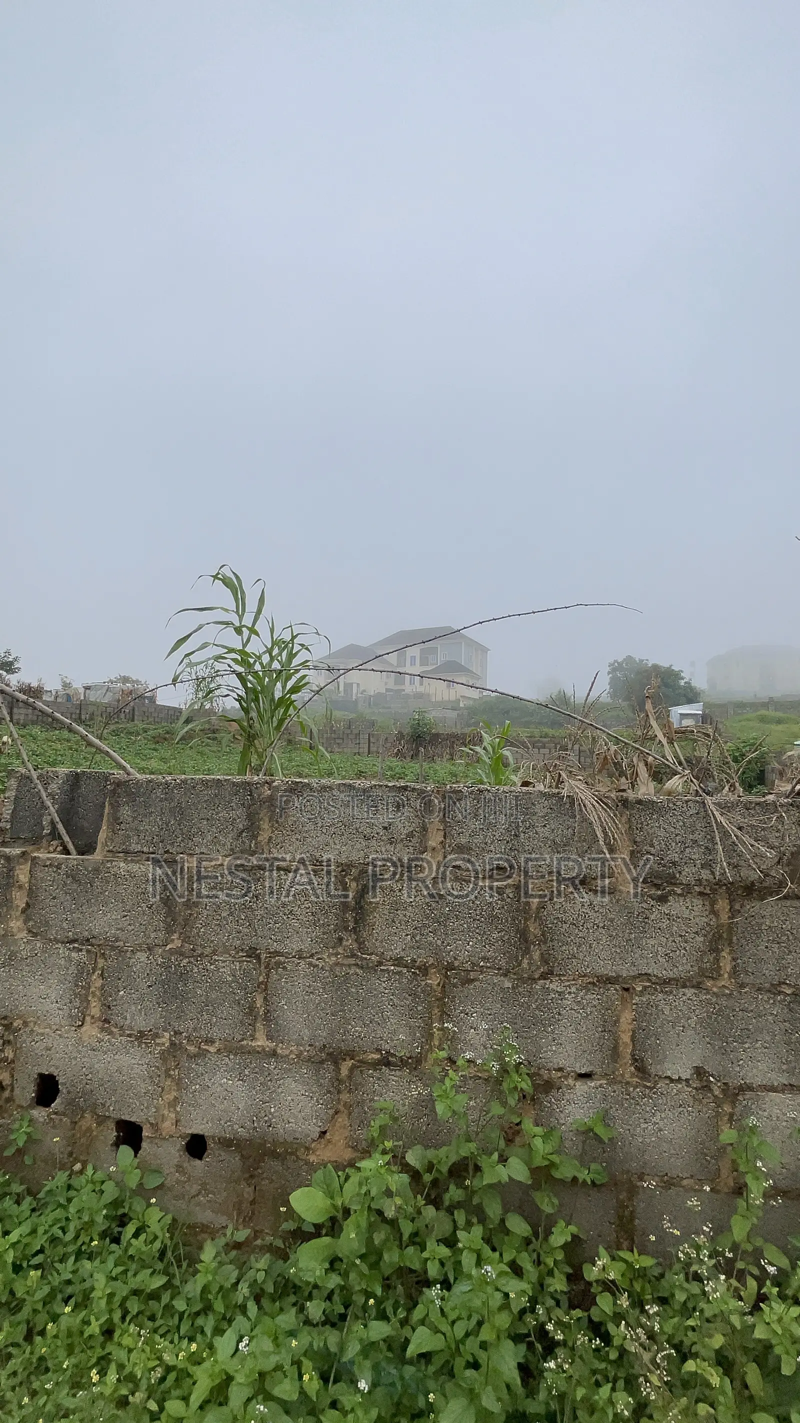 Buildable 1200sqm Plot Size | Maitama Extension