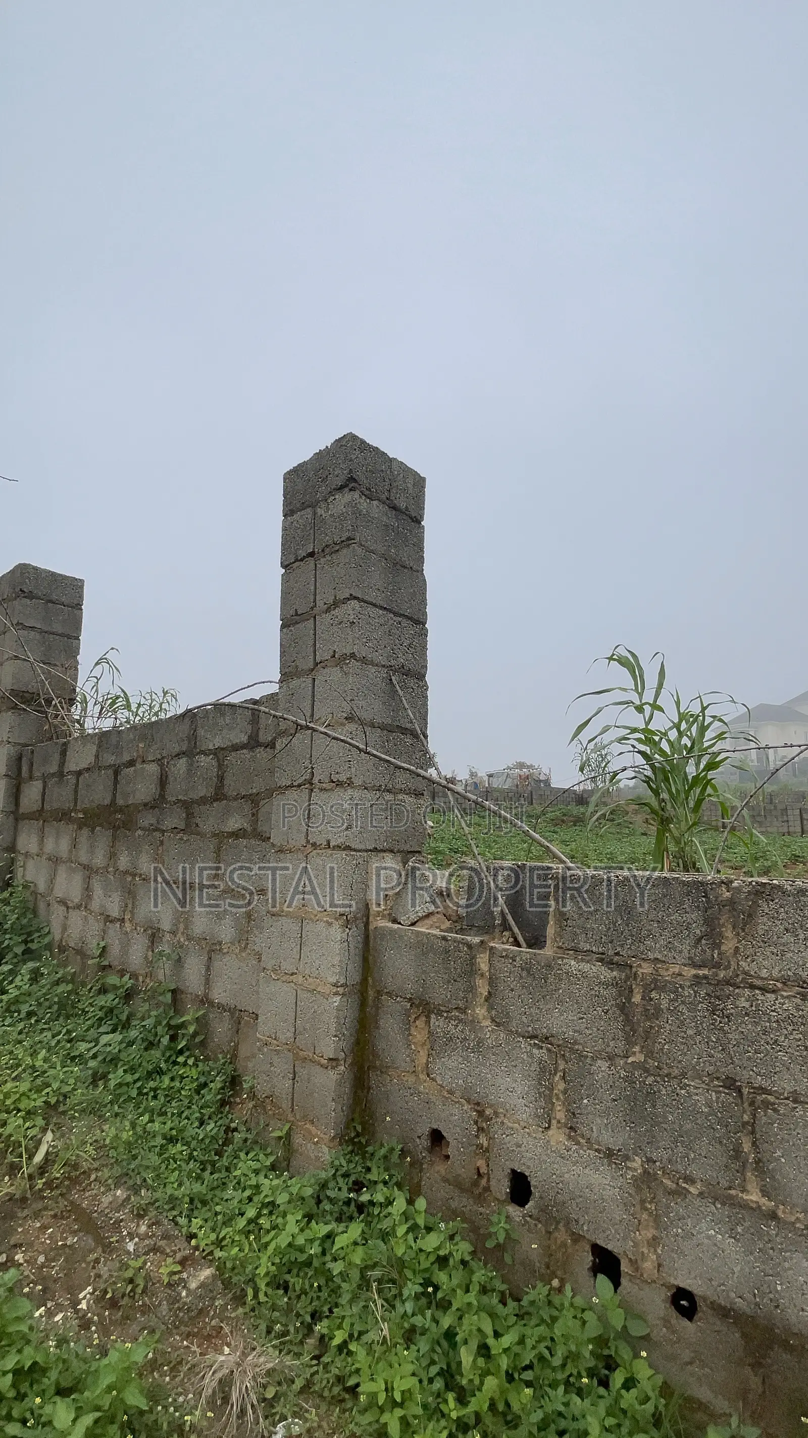 Buildable 1200sqm Plot Size | Maitama Extension
