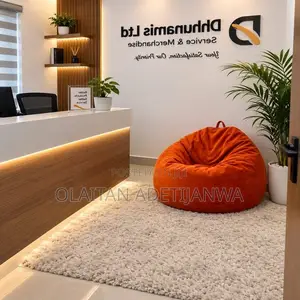 Modern Beanbag With Exchangeable Cover N Washable