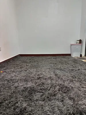 Rug Carpet