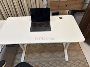 Imported Electric Adjustable Standing Desk - Like New