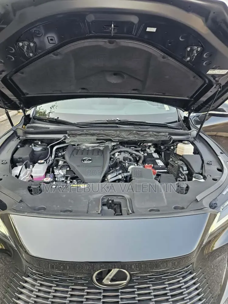 Lexus RX 2025 Black