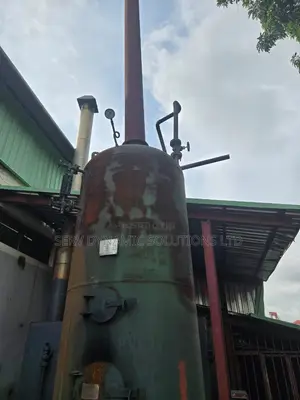 Firewood Industrial Steamer / Boiler Machine