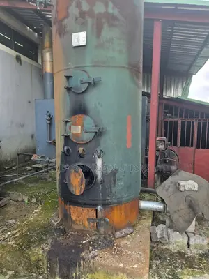 Firewood Industrial Steamer / Boiler Machine