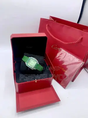 Male Luxury Watch