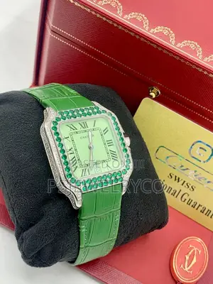 Male Luxury Watch