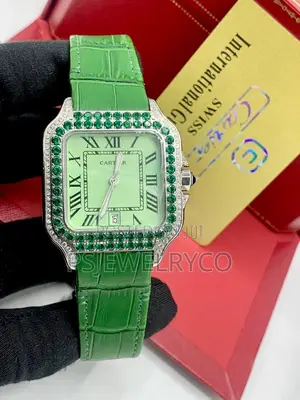 Male Luxury Watch