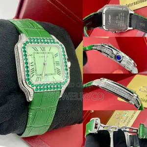 Male Luxury Watch