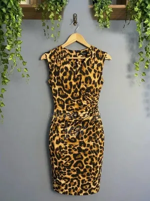Leopard Print Dress