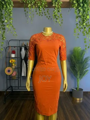 Zara Women Lace Dress (Thrift)