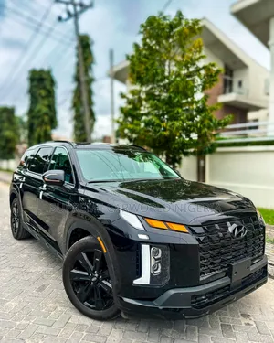 New Hyundai Palisade 2024 Black