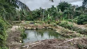 6 Plots With Operational Fish Farm for Sale in Poka, Epe, Lagos