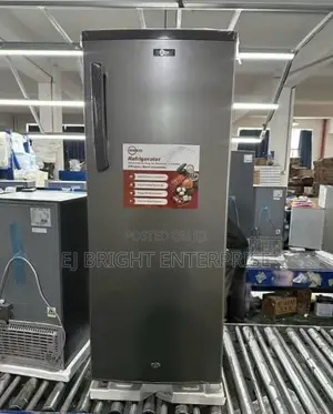 ZEN LTD 7 Steps Fast Freezing Upright Freezer | BD-285