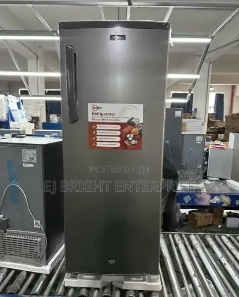 ZEN LTD 7 Steps Fast Freezing Upright Freezer | BD-285