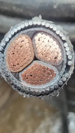 185mmx3core Amoured Lebanon Cable Electric