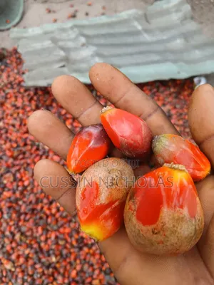 I Do This Farming Work for Living