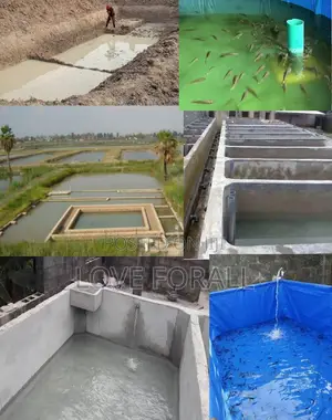Highly Profitable Backyard Fish Farming