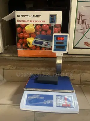Electronic Pricing Scale (30kg)