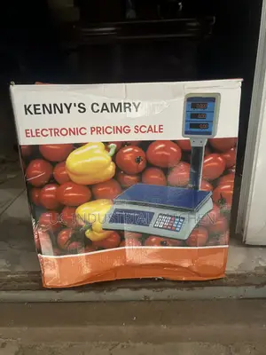 Electronic Pricing Scale (50kg)