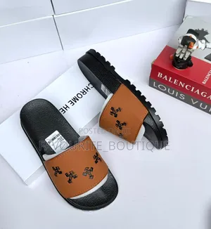 Quality Carton Slides Palm