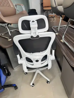 High-Back Ergonomic Mesh Office Chair