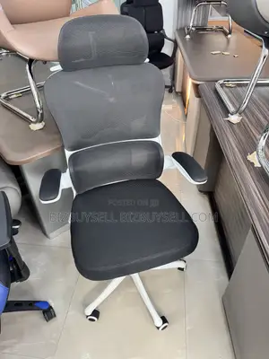 High-Back Ergonomic Mesh Office Chair