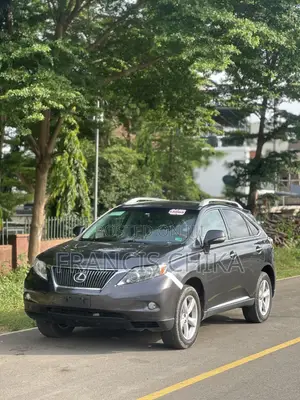 Lexus RX 2010 Gray