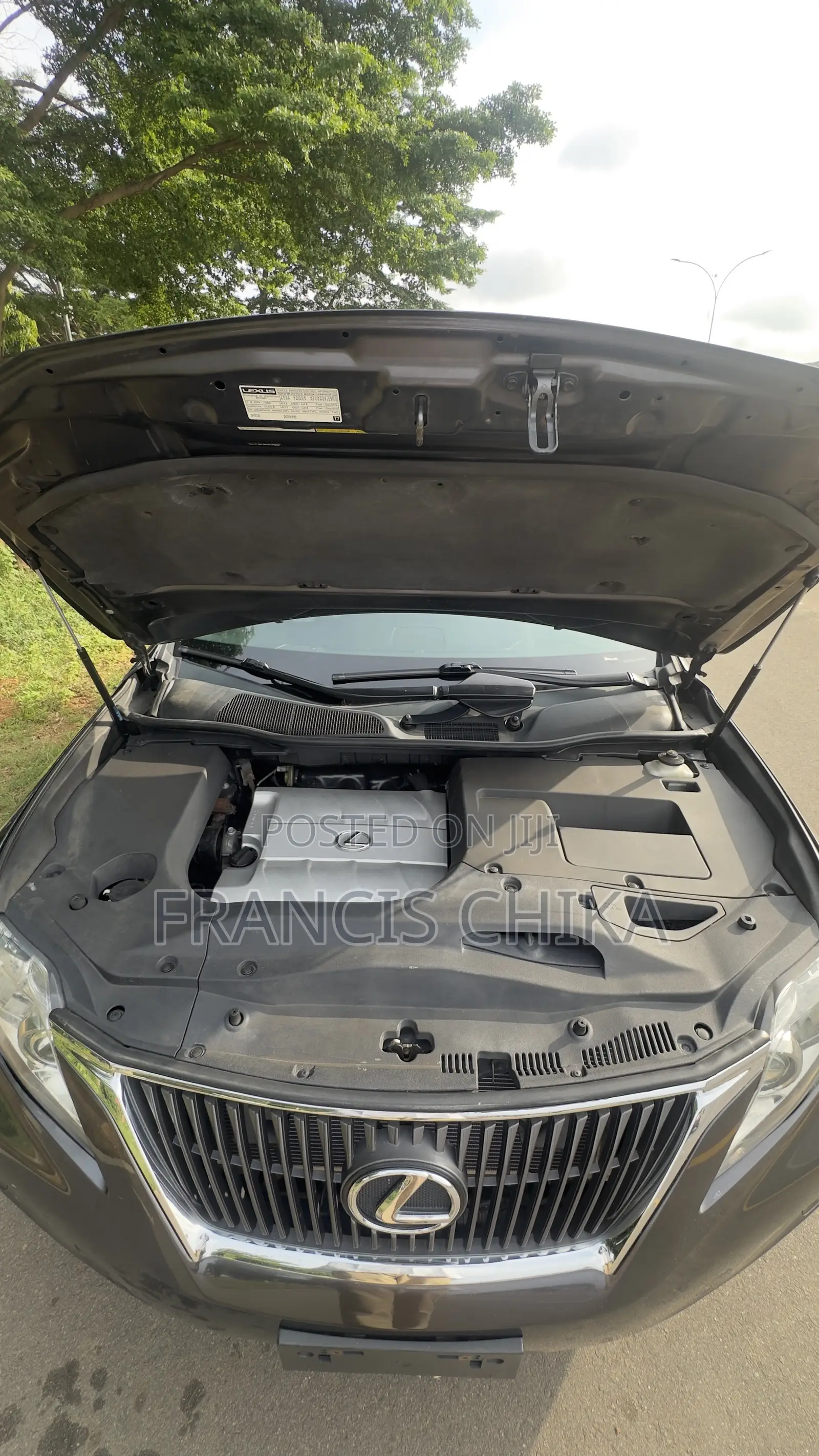 Lexus RX 2010 Gray