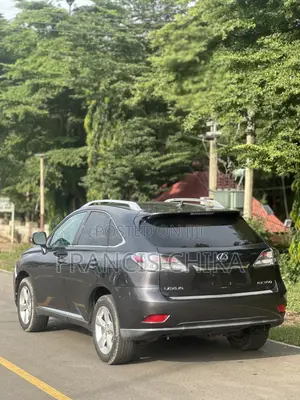 Lexus RX 2010 Gray