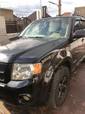 Ford Escape 2010 Black