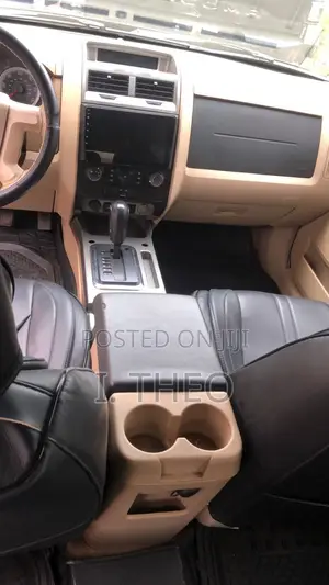 Ford Escape 2010 Black