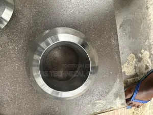 Weldolet Stainless 10" X 4" X 44 MM X SCH 160
