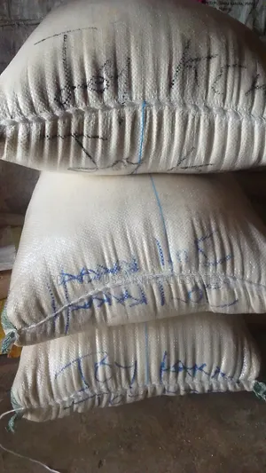 Garri Butter Color