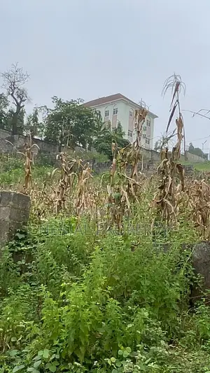 Buildable 1,100 SQM Plot of Land