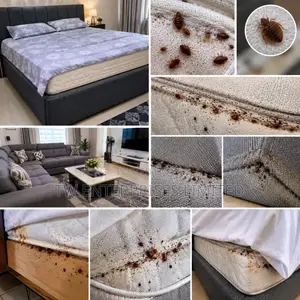Professional Bed Bug Treatment & Fumigation | Lagos