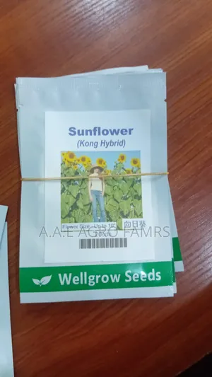Sunflower Seeds – Kong Hybrid