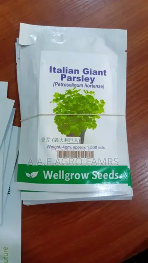 Italian Giant Parsley Seeds – Wellgrow Seeds