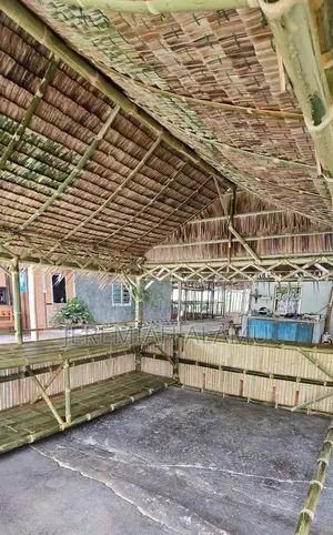 Bamboo Structures