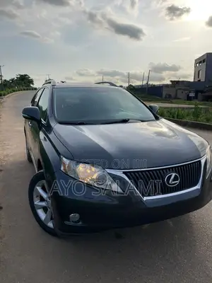 Lexus RX 350 2010 Gray