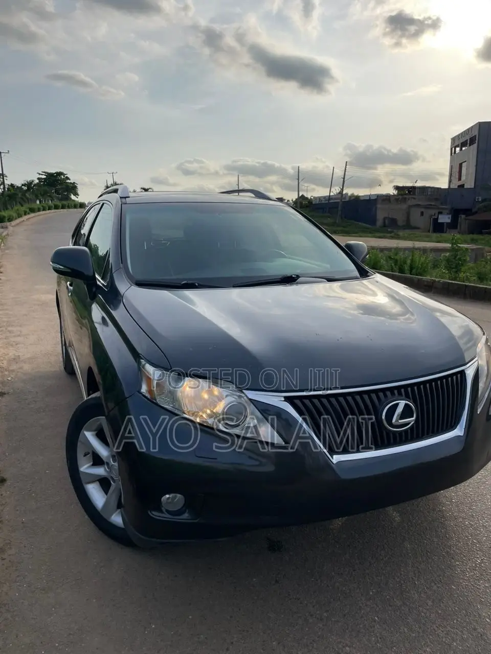 Lexus RX 350 2010 Gray